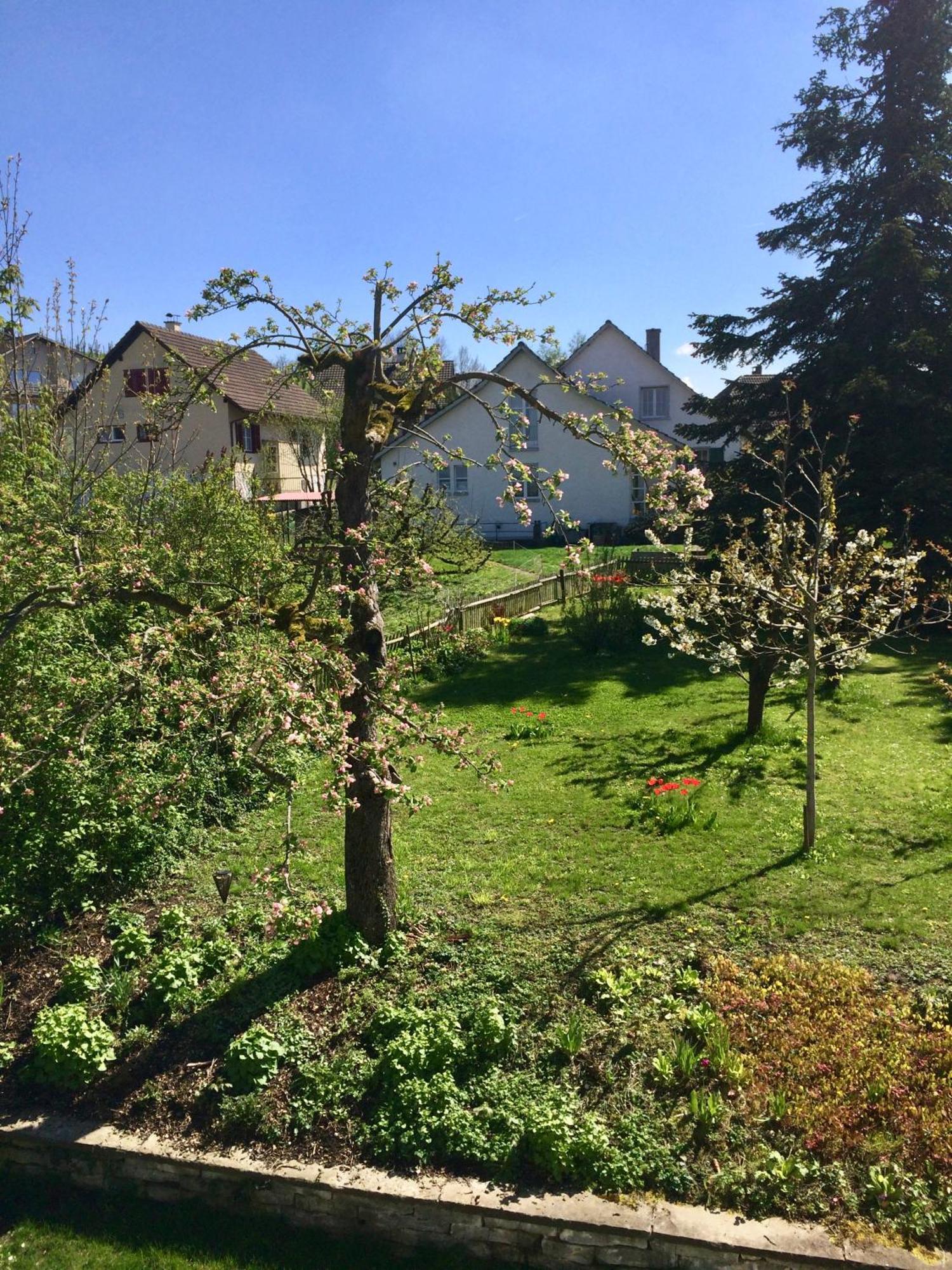 Guntli'S Family Guesthouse Andelfingen 외부 사진