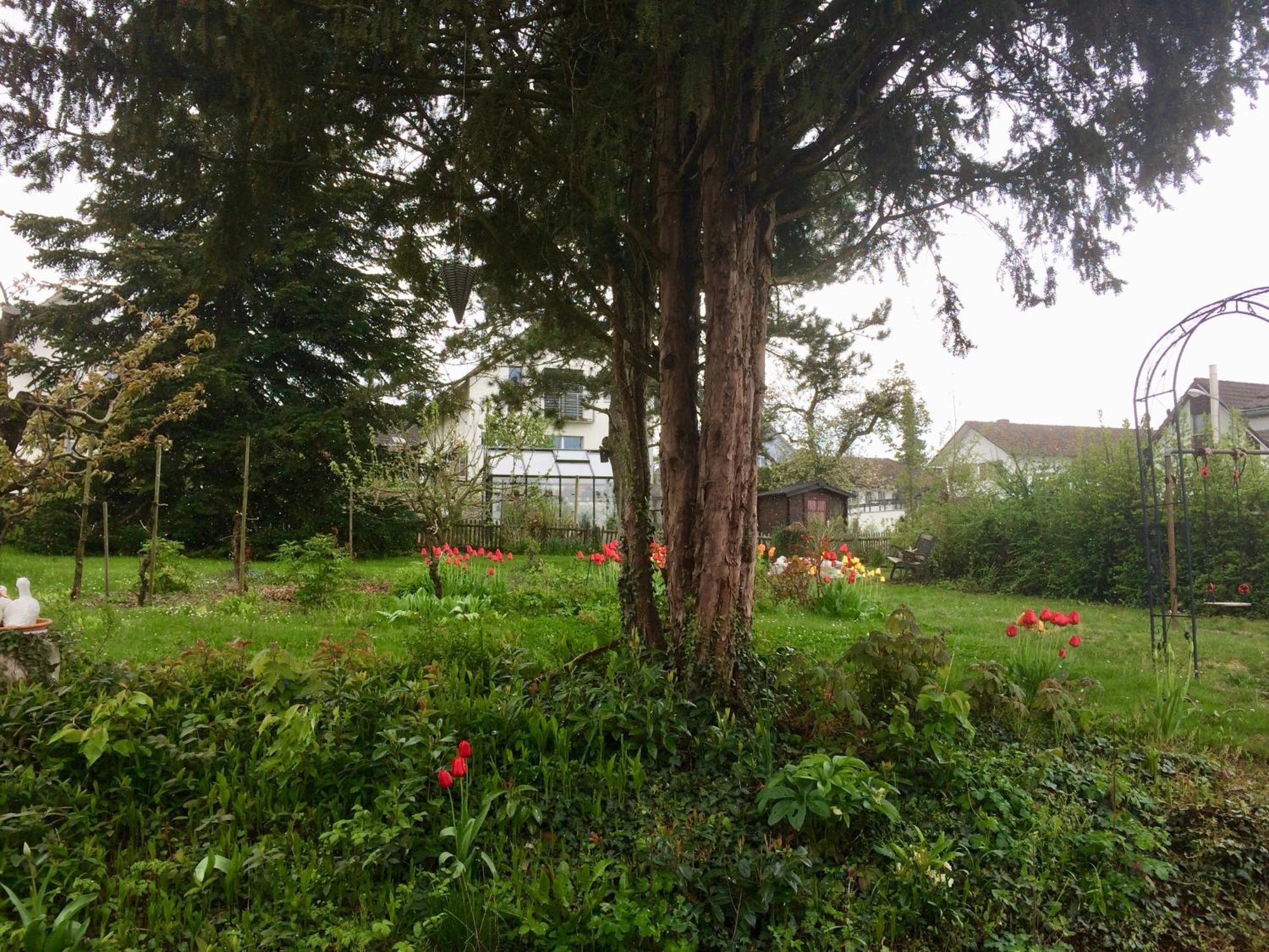 Guntli'S Family Guesthouse Andelfingen 외부 사진